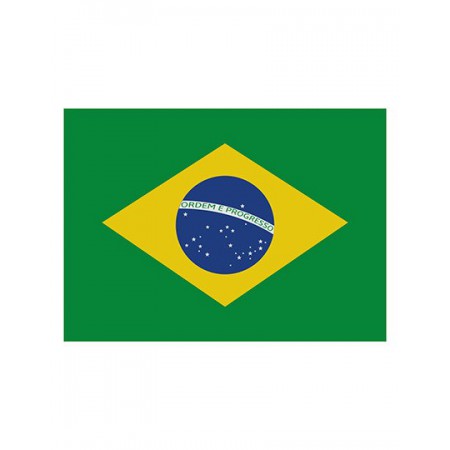 Printwear - Fahne Brasilien