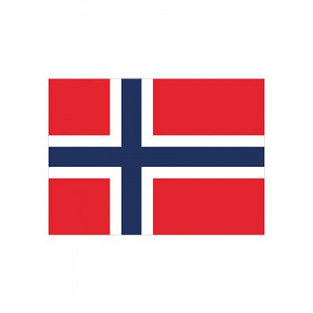 Printwear - Fahne Norwegen