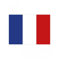 Printwear - Fahne Frankreich