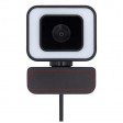 Hybrid Webcam