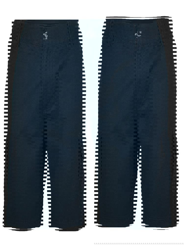 Navy (PMS 5395C)